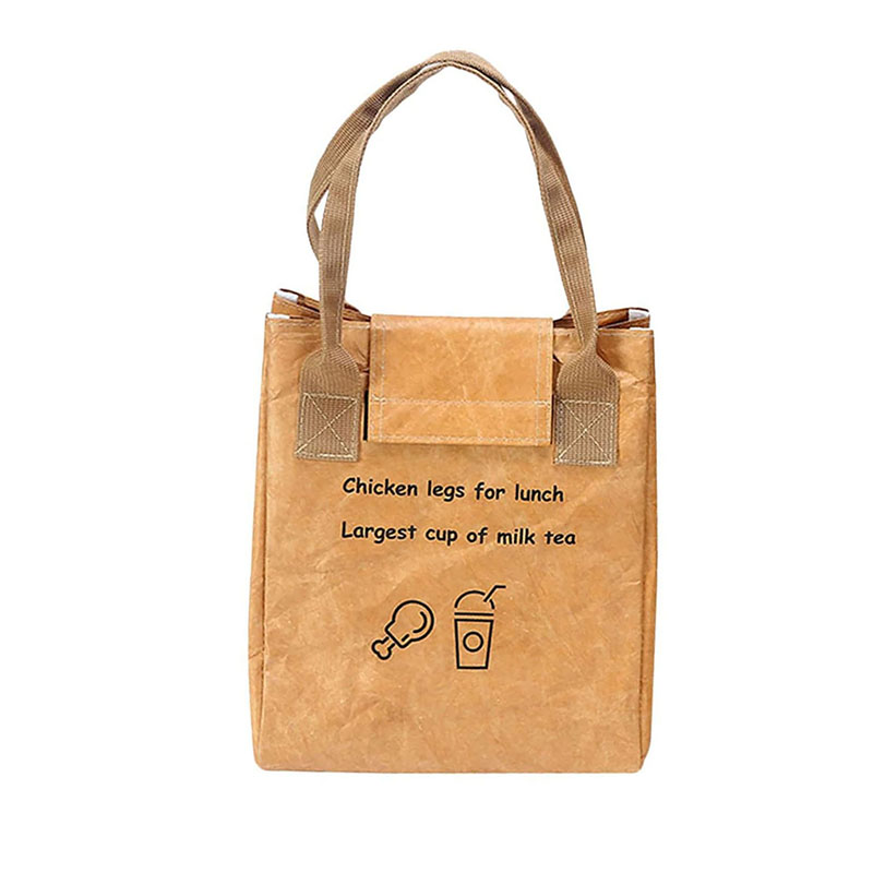 Brown Paper Tyvek Cooler Bag