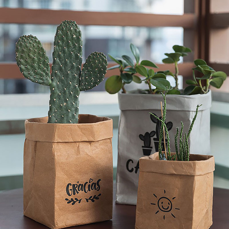 Washable Kraft Paper Bag For Plant